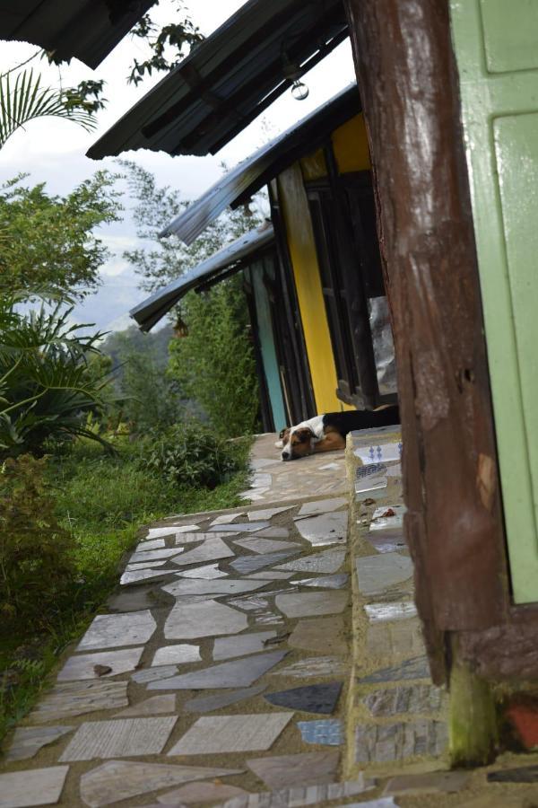Posadamanduka Eco-Hostel Villavicencio Dış mekan fotoğraf