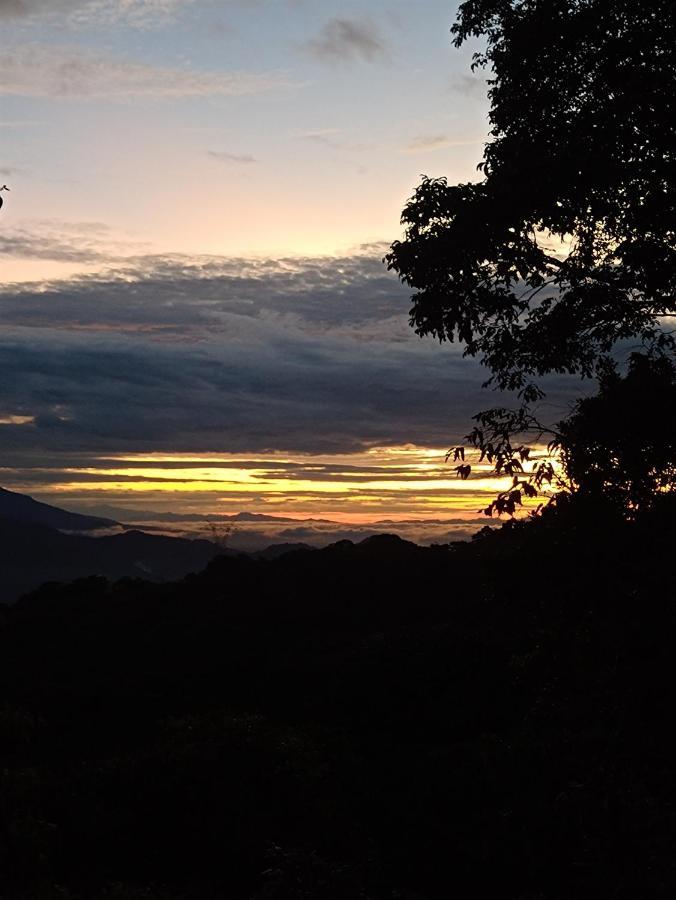 Posadamanduka Eco-Hostel Villavicencio Dış mekan fotoğraf