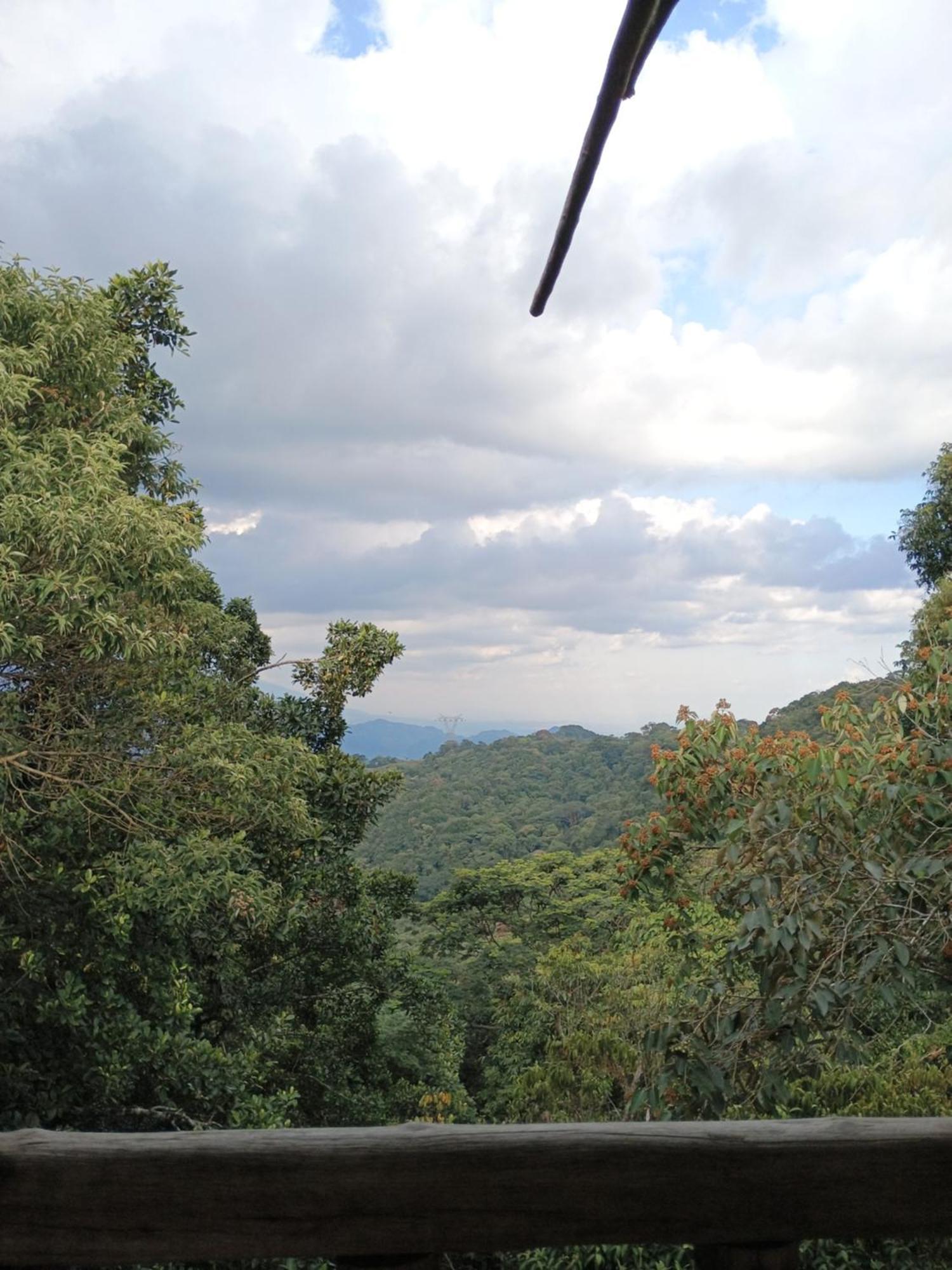 Posadamanduka Eco-Hostel Villavicencio Dış mekan fotoğraf