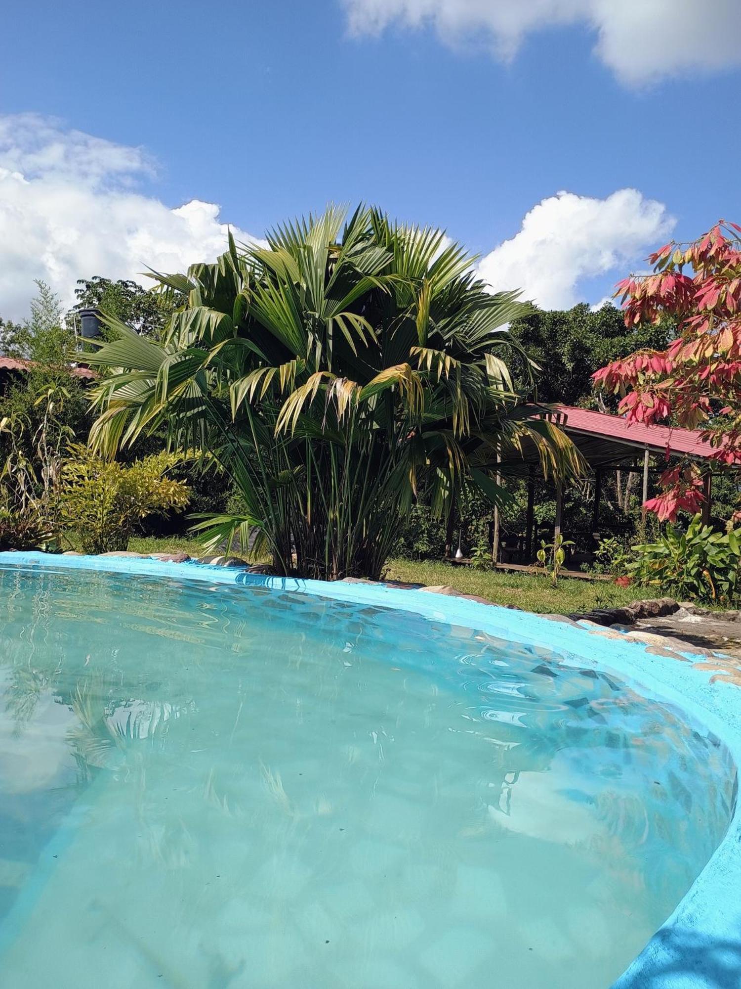 Posadamanduka Eco-Hostel Villavicencio Dış mekan fotoğraf